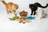 Cat - Dental Treats