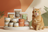 Cat - Wet Food